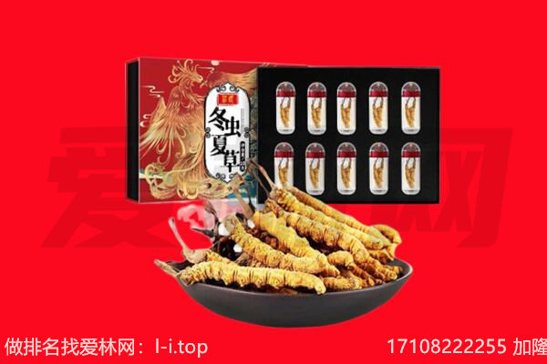 亚东县回收虫草.jpg